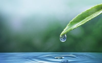 Dermatologisches Wasser im Zentrum der Innovation